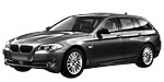 BMW F11 B19A4 Fault Code